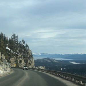 Meet your Posher, Shane